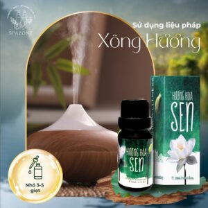 Tinh dầu Hoa sen Sophia Wellness